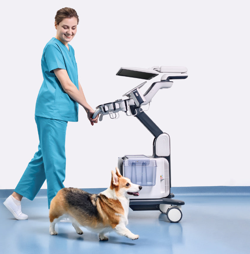 Ultrasonido Veterinario de Gabinete Vetus 50 Mindray