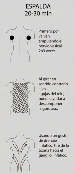 ESPALDA