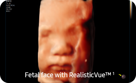 Expresión de la anatomía en 3D con detalle y realismo